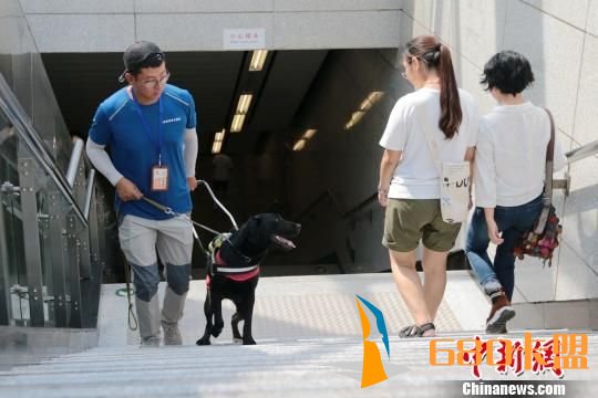 导盲犬“亮相”西安和平精英外挂地铁站 首只将于10月服役