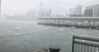 和平精英模拟器外挂台风来袭港珠澳大桥顶住16级风 感谢逆风而行的